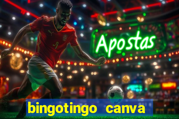 bingotingo canva pro gratis
